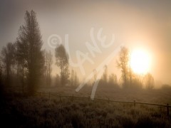 WYOMING Jackson Hole